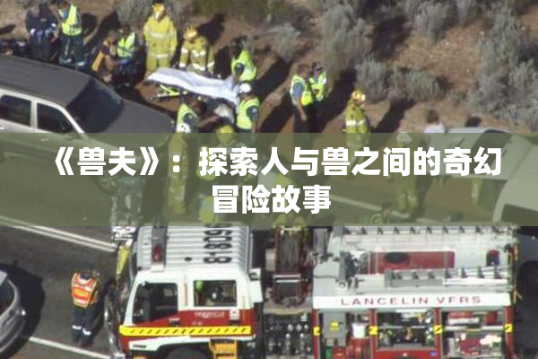 《兽夫》：探索人与兽之间的奇幻冒险故事