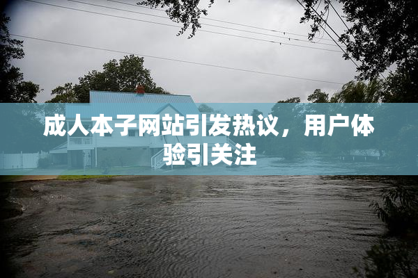 成人本子网站引发热议，用户体验引关注