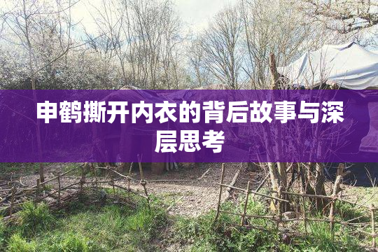 申鹤撕开内衣的背后故事与深层思考