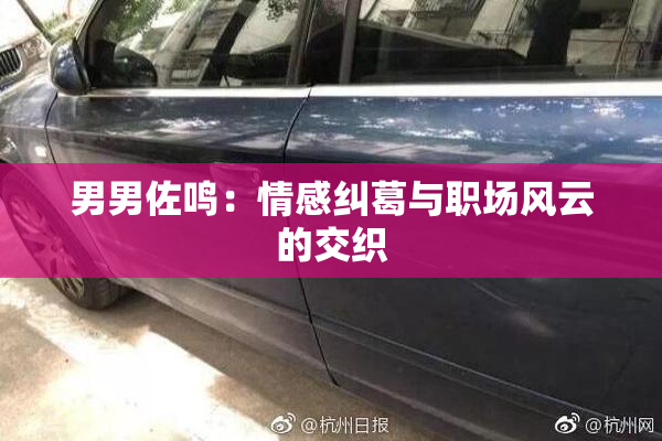 男男佐鸣：情感纠葛与职场风云的交织