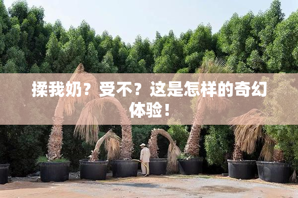 揉我奶？受不？这是怎样的奇幻体验！
