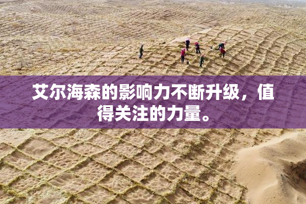 艾尔海森的影响力不断升级，值得关注的力量。