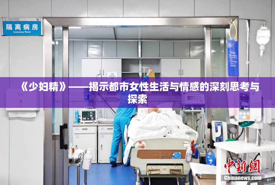 《少妇精》——揭示都市女性生活与情感的深刻思考与探索