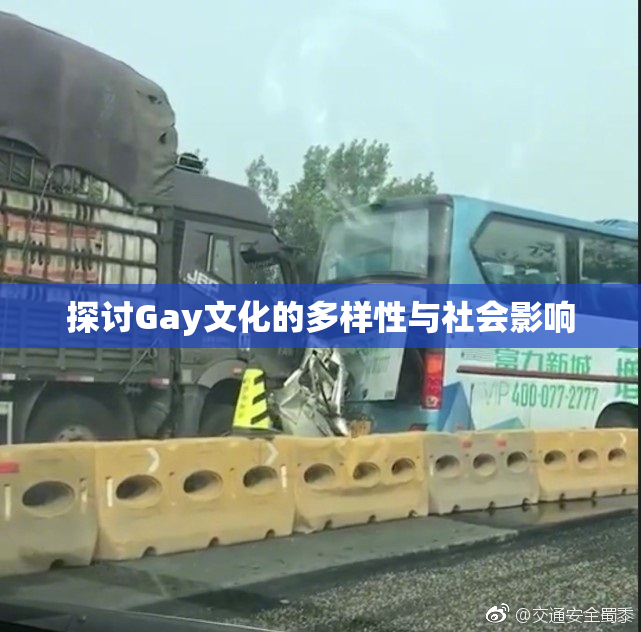 探讨Gay文化的多样性与社会影响