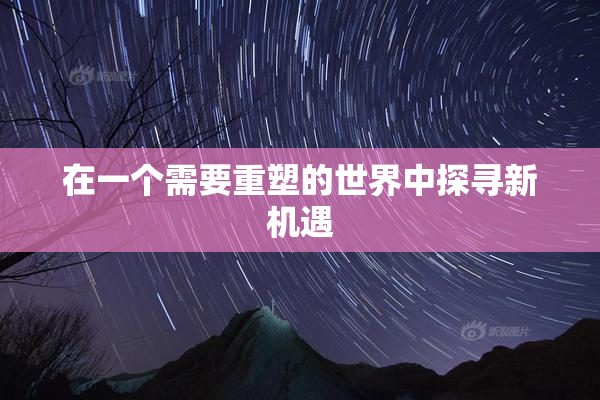 在一个需要重塑的世界中探寻新机遇