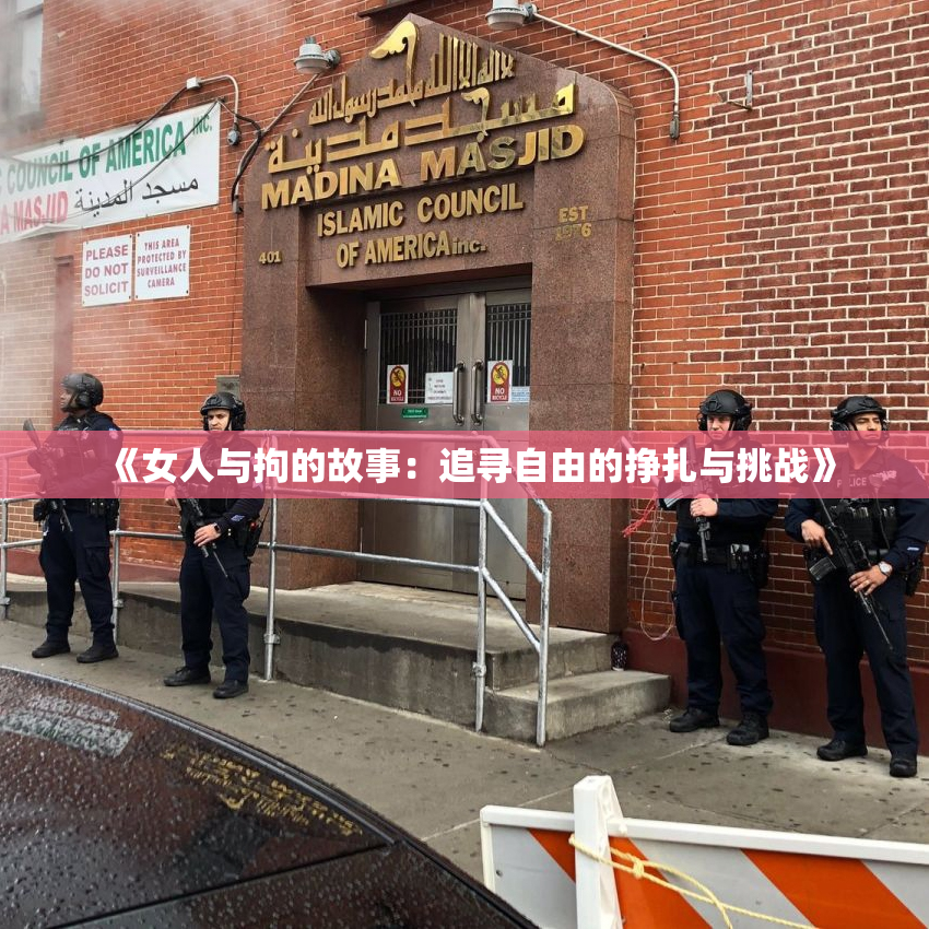 《女人与拘的故事：追寻自由的挣扎与挑战》