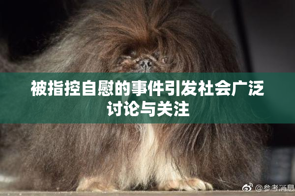 被指控自慰的事件引发社会广泛讨论与关注