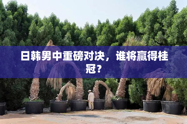 日韩男中重磅对决，谁将赢得桂冠？
