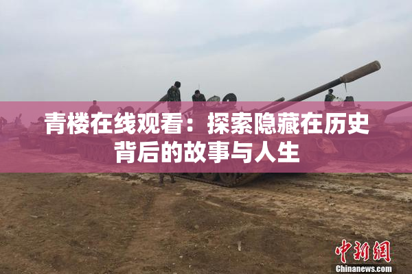 青楼在线观看：探索隐藏在历史背后的故事与人生