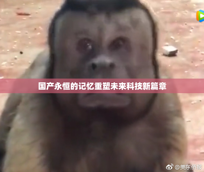 国产永恒的记忆重塑未来科技新篇章