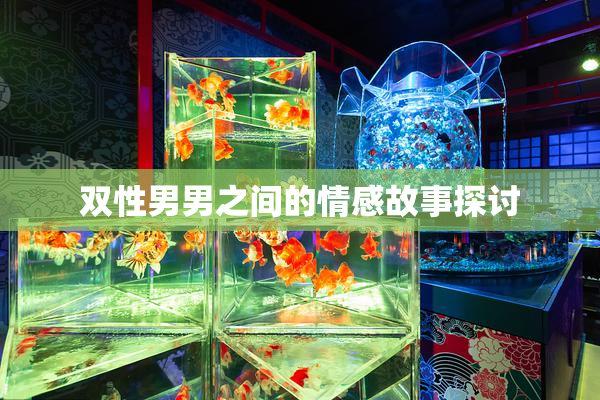 双性男男之间的情感故事探讨