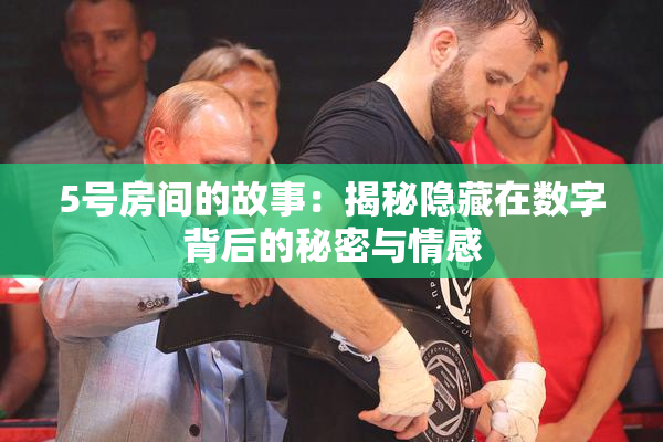 5号房间的故事：揭秘隐藏在数字背后的秘密与情感