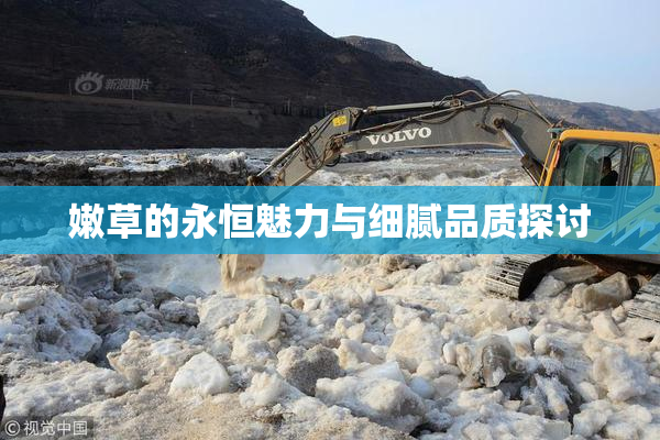 嫩草的永恒魅力与细腻品质探讨
