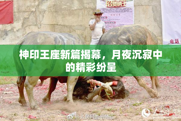 神印王座新篇揭幕，月夜沉寂中的精彩纷呈