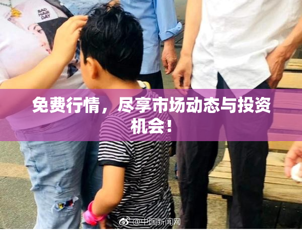 免费行情，尽享市场动态与投资机会！