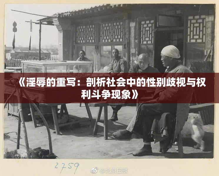 《淫辱的重写：剖析社会中的性别歧视与权利斗争现象》