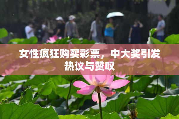 女性疯狂购买彩票，中大奖引发热议与赞叹