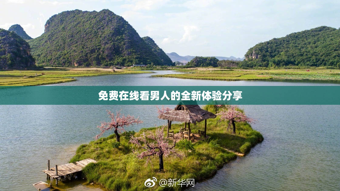 免费在线看男人的全新体验分享