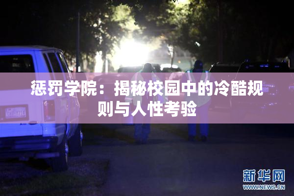 惩罚学院：揭秘校园中的冷酷规则与人性考验