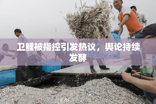 卫鲤被指控引发热议，舆论持续发酵