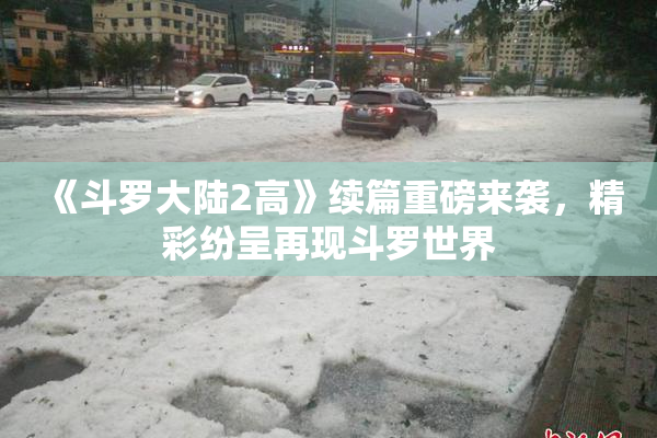 《斗罗大陆2高》续篇重磅来袭，精彩纷呈再现斗罗世界
