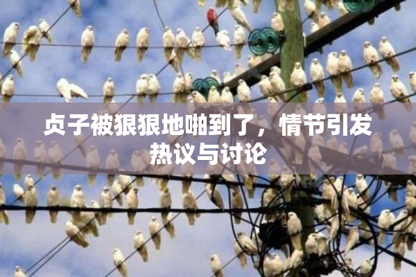 贞子被狠狠地啪到了，情节引发热议与讨论