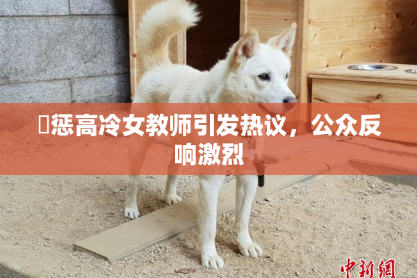 厳惩高冷女教师引发热议，公众反响激烈