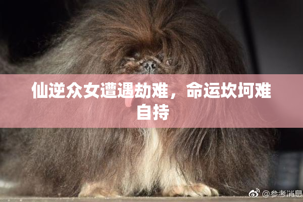 仙逆众女遭遇劫难，命运坎坷难自持