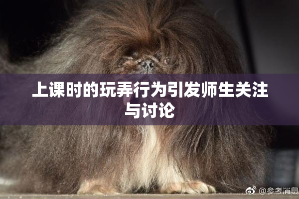 上课时的玩弄行为引发师生关注与讨论