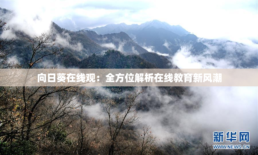 向日葵在线观：全方位解析在线教育新风潮