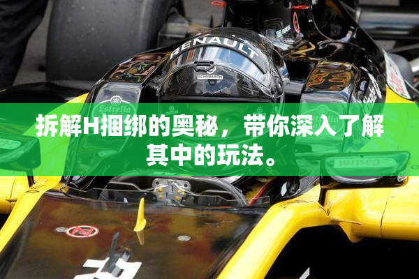 拆解H捆绑的奥秘，带你深入了解其中的玩法。