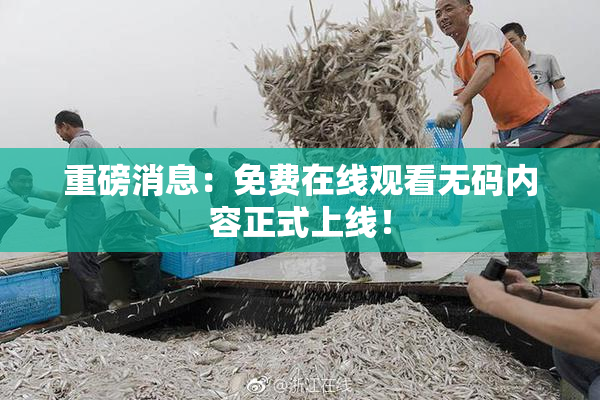 重磅消息：免费在线观看无码内容正式上线！