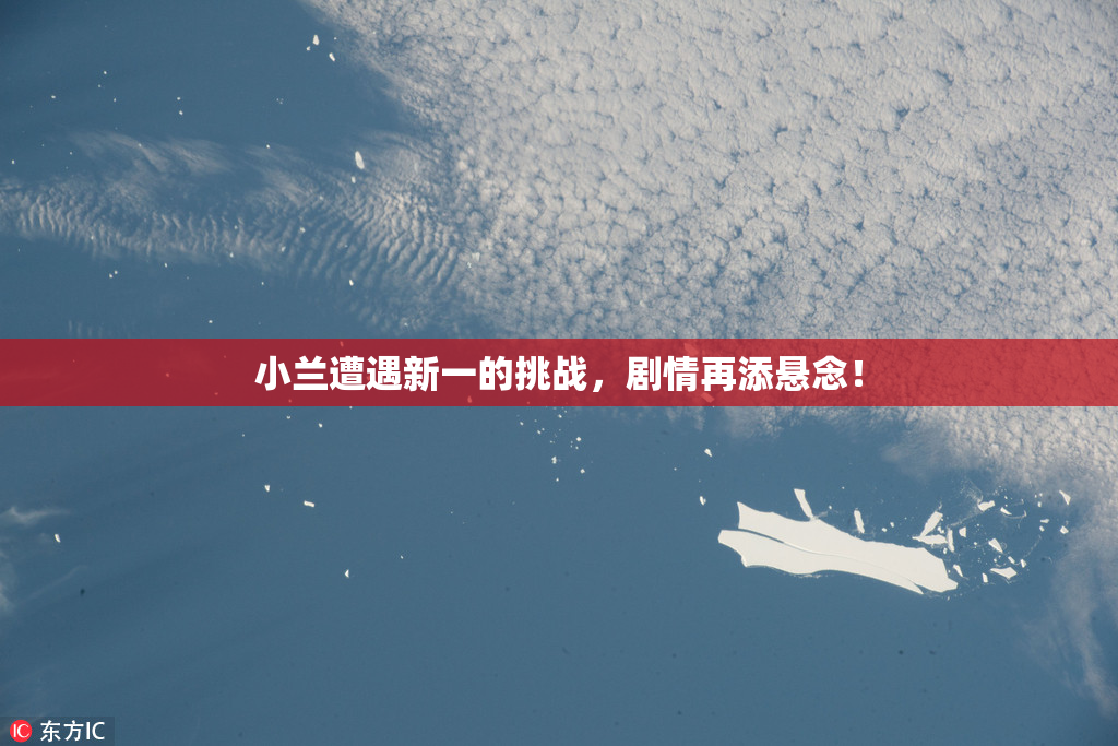 小兰遭遇新一的挑战，剧情再添悬念！