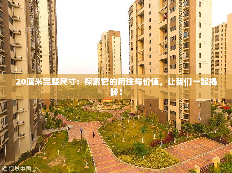 20厘米完整尺寸：探索它的用途与价值，让我们一起揭秘！