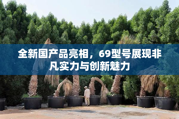 全新国产品亮相，69型号展现非凡实力与创新魅力