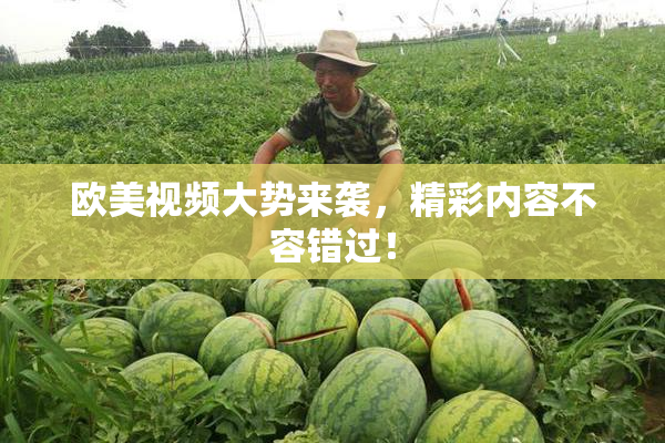 欧美视频大势来袭，精彩内容不容错过！