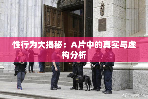 性行为大揭秘：A片中的真实与虚构分析