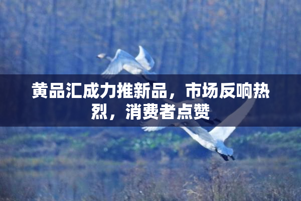 黄品汇成力推新品，市场反响热烈，消费者点赞