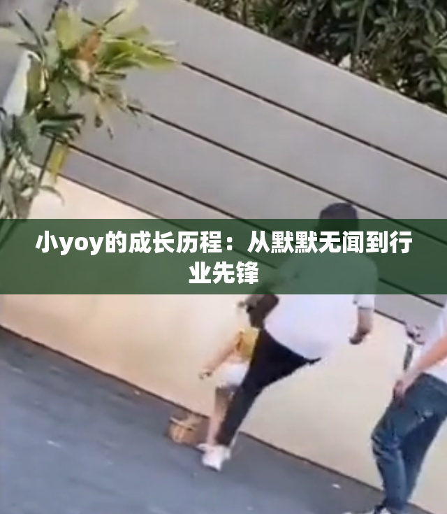 小yoy的成长历程：从默默无闻到行业先锋
