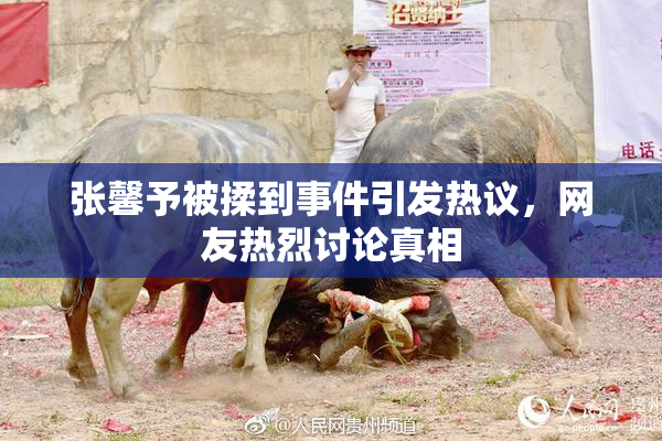 张馨予被揉到事件引发热议，网友热烈讨论真相