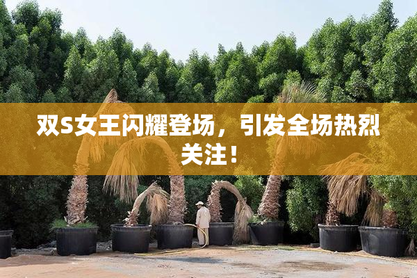 双S女王闪耀登场，引发全场热烈关注！