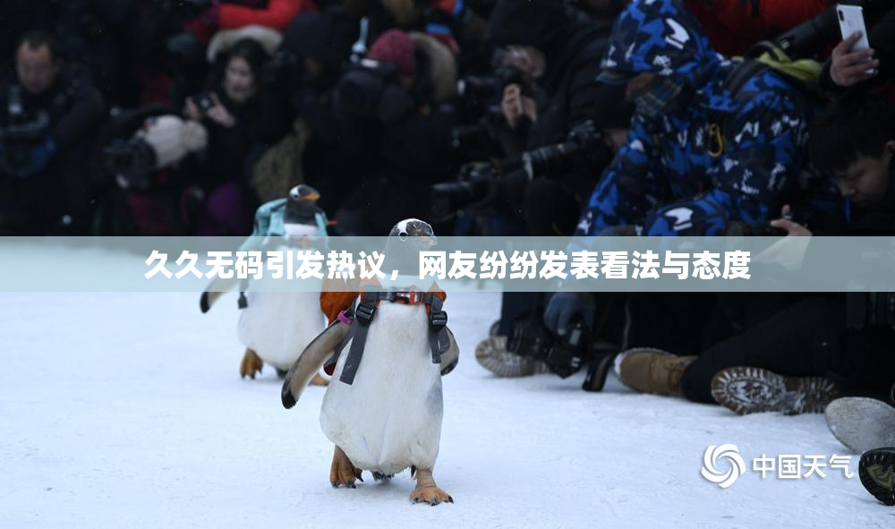 久久无码引发热议，网友纷纷发表看法与态度