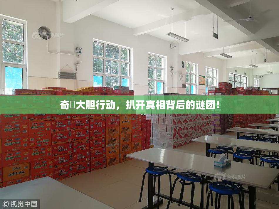 奇犽大胆行动，扒开真相背后的谜团！