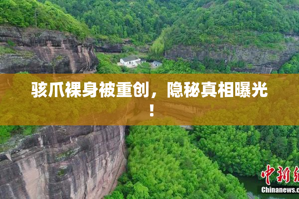 骇爪裸身被重创，隐秘真相曝光！