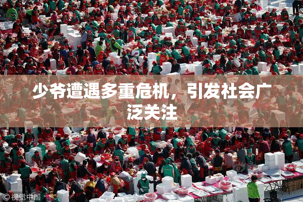 少爷遭遇多重危机，引发社会广泛关注
