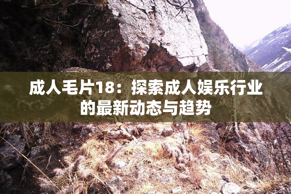 成人毛片18：探索成人娱乐行业的最新动态与趋势