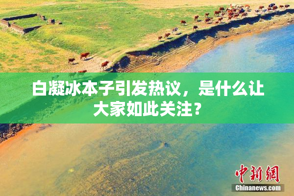 白凝冰本子引发热议，是什么让大家如此关注？