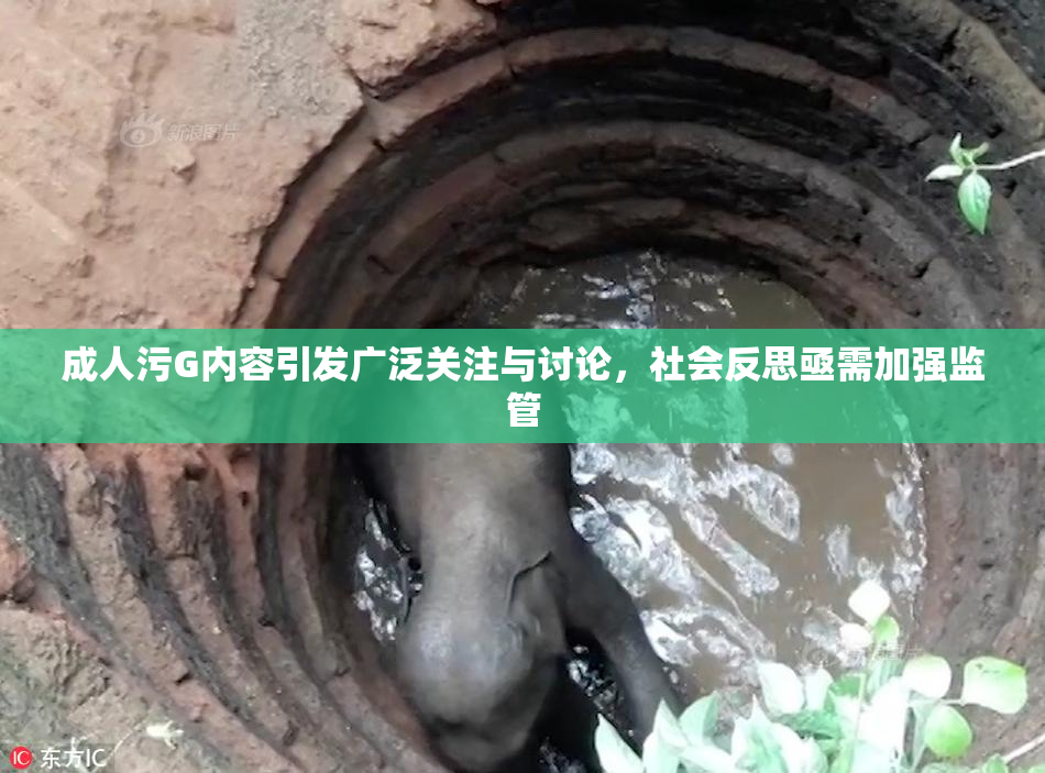 成人污G内容引发广泛关注与讨论，社会反思亟需加强监管