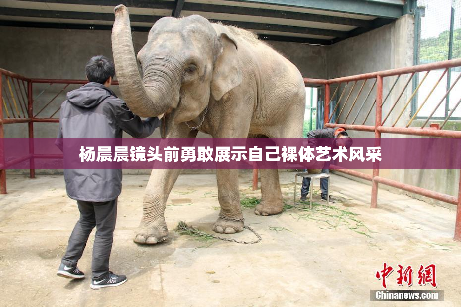 杨晨晨镜头前勇敢展示自己裸体艺术风采