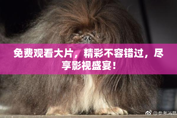 免费观看大片，精彩不容错过，尽享影视盛宴！